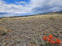 Level 5 Acre Lot : Hartsel : Park County : Colorado