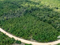 Alred Road Tract 2, 4.5 Ac : Westville : Holmes County : Florida