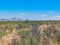 Get 20 Acres of Freedom in Hudspeth : Salt Flat : Hudspeth County : Texas
