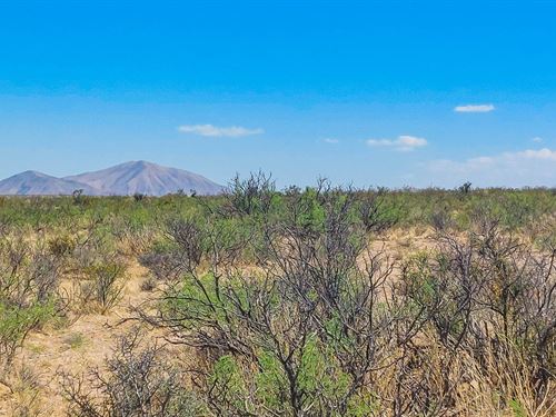 Get 20 Acres of Freedom in Hudspeth : Salt Flat : Hudspeth County : Texas
