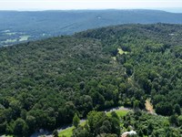 7.46 Acres Wooded Home Site : Oneonta : Saint Clair County : Alabama