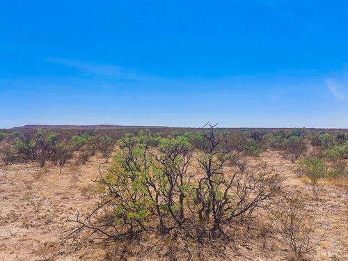 Stunning Views & Solitude Together : Salt Flat : Hudspeth County : Texas