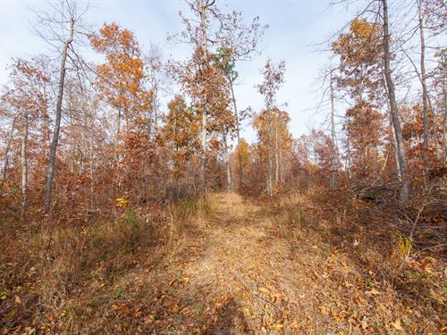 Own Today $999 Down : Ellington : Reynolds County : Missouri