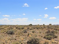 Build Your Home with Mountain Views : Blanca : Costilla County : Colorado