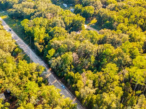 No HOA, Near Lake, $1 Down : Interlachen : Putnam County : Florida