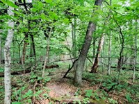 .46 Acres of Bliss : Browerville : Todd County : Minnesota