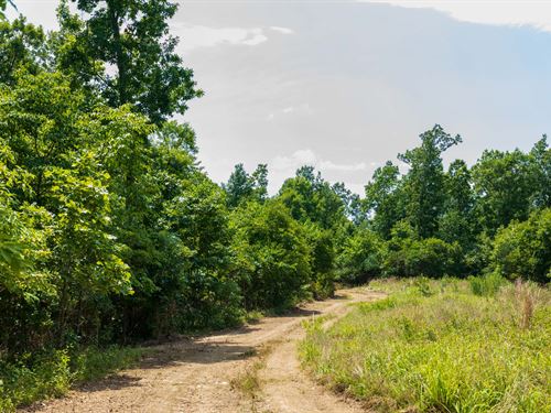 Do Not Miss This One : Piedmont : Reynolds County : Missouri