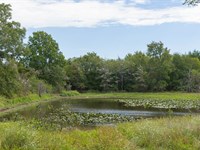 No Credit Check Near The Lake : Canadian : Pittsburg County : Oklahoma