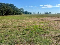 24-060 Highway 10 Mini Farm : Luverne : Crenshaw County : Alabama