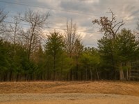 6.9 Acres Wooded Land in Arkansas : Mountain Home : Baxter County : Arkansas