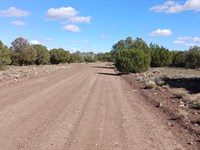 Freedom, Space, and Investment : Show Low : Apache County : Arizona