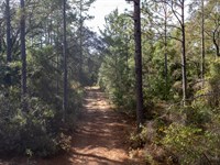 Affordable Florida Living : Interlachen : Putnam County : Florida