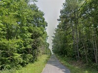 Build Dream Home in Vance, Alabama : Vance : Tuscaloosa County : Alabama