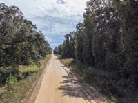 Peaceful and Affordable Land : Interlachen : Putnam County : Florida