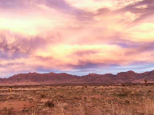 5 Acres vs Your Tiny Apartment : Deming : Luna County : New Mexico