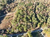 10 Acres, Can be Divided : Ashville : Saint Clair County : Alabama