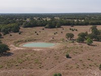 11.5 Acres Cedar Rock Road, Tract 8 : Rosanky : Bastrop County : Texas