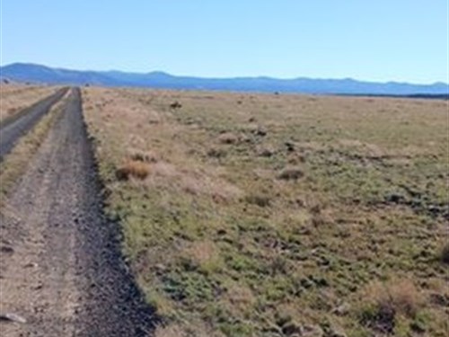 Build Your Dream Home : Concho : Apache County : Arizona