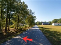 Great Deal on Vacant Land in McCall : Warfield : Brunswick County : Virginia