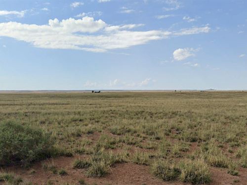 Grab 1.25 Acre Lot for $47 Down : Sun Valley : Navajo County : Arizona
