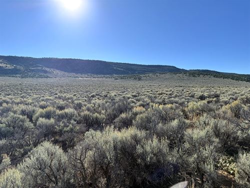 Wild Horse Mesa Land : San Luis : Costilla County : Colorado