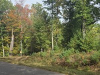 9 Acres Near Eau Claire Lakes Chain : Barnes : Bayfield County : Wisconsin