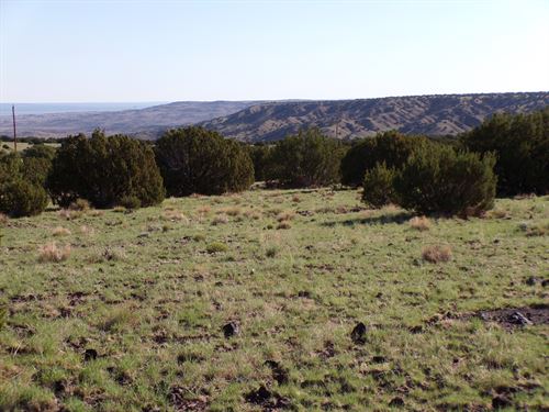 Canvas for Arizona Mountain Living : Concho : Apache County : Arizona