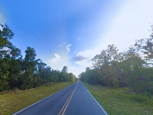 .24 Acres in Interlachen for Sale : Interlachen : Putnam County : Florida
