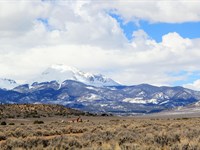Flat & Build-Ready with Views : Fort Garland : Costilla County : Colorado