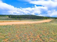 Camp or Build Mountain Lot : Como : Park County : Colorado