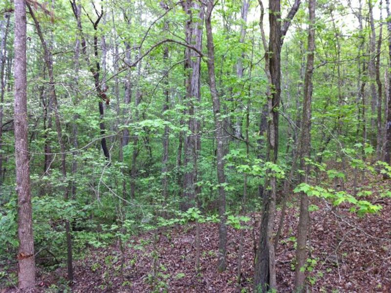 Bear Creek Farms, 2.69 Acre Lot : Mansfield : Jasper County : Georgia