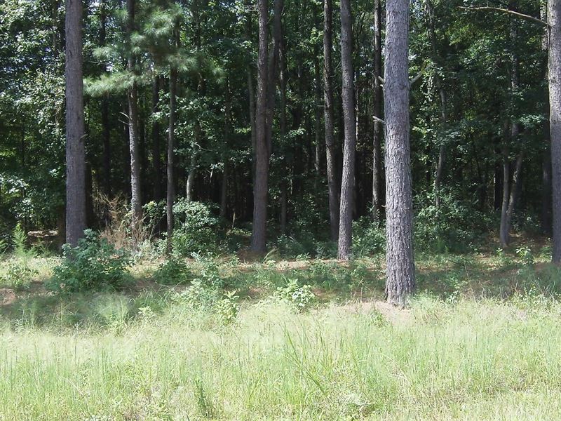 Deep Lake Farms, 5.20 Acre Lot : Shady Dale : Jasper County : Georgia