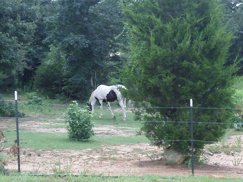 Turkey Creek Farms, 3.21 Acre Lot : Hogansville : Meriwether County : Georgia